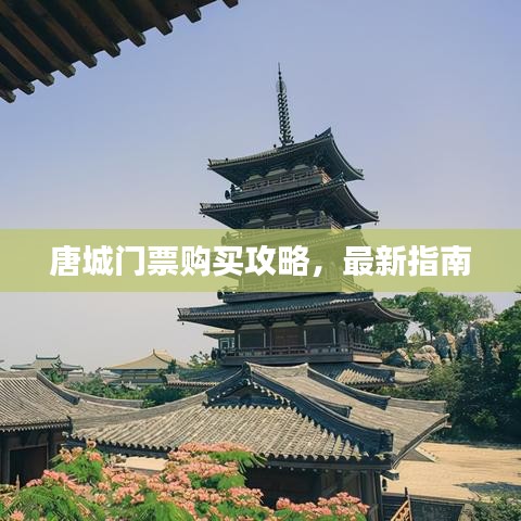 唐城門票購買攻略，最新指南