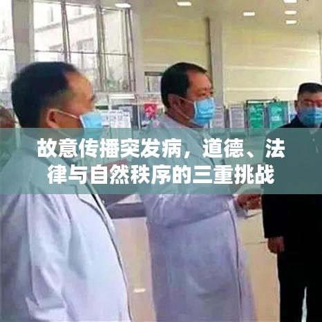 不期而遇 第3頁(yè)