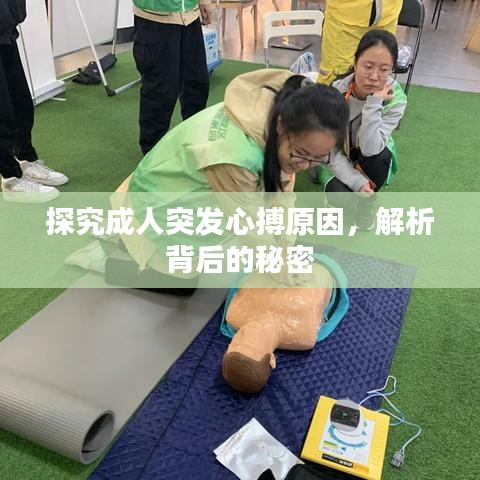 探究成人突發(fā)心搏原因，解析背后的秘密