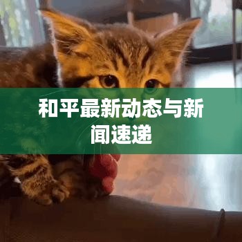 和平最新動態(tài)與新聞速遞