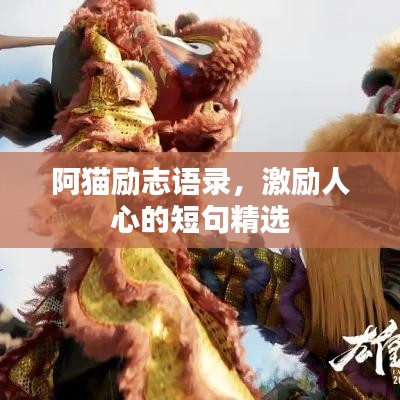 阿貓勵志語錄，激勵人心的短句精選