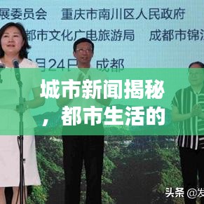 城市新聞揭秘，都市生活的真實(shí)面貌深度報(bào)道