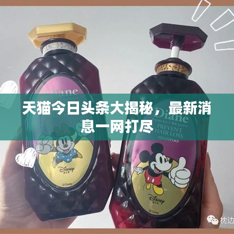 天貓今日頭條大揭秘，最新消息一網(wǎng)打盡