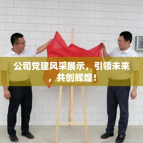 公司黨建風(fēng)采展示，引領(lǐng)未來(lái)，共創(chuàng)輝煌！