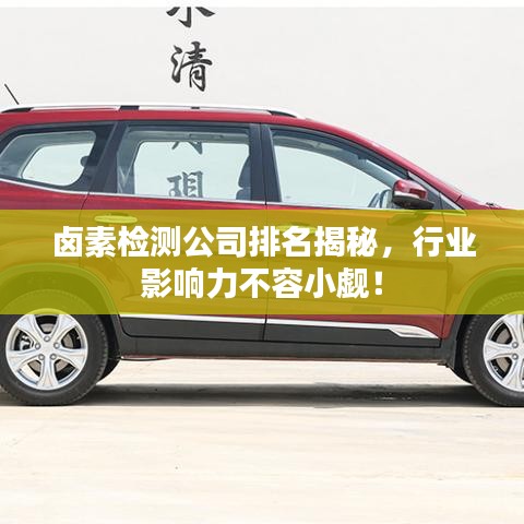 鹵素檢測(cè)公司排名揭秘，行業(yè)影響力不容小覷！