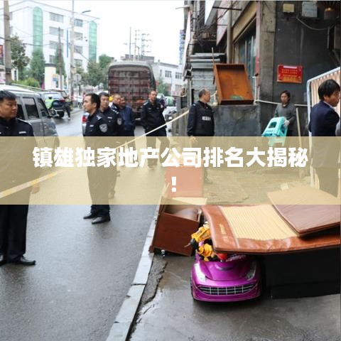 鎮(zhèn)雄獨家地產(chǎn)公司排名大揭秘！