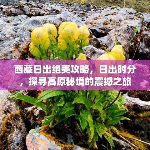 西藏日出絕美攻略，日出時(shí)分，探尋高原秘境的震撼之旅