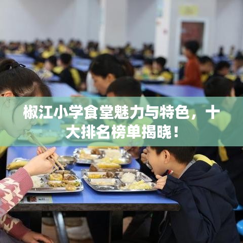 椒江小學(xué)食堂魅力與特色，十大排名榜單揭曉！