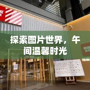 探索圖片世界，午間溫馨時光