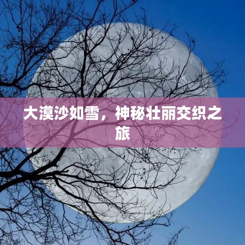 大漠沙如雪，神秘壯麗交織之旅