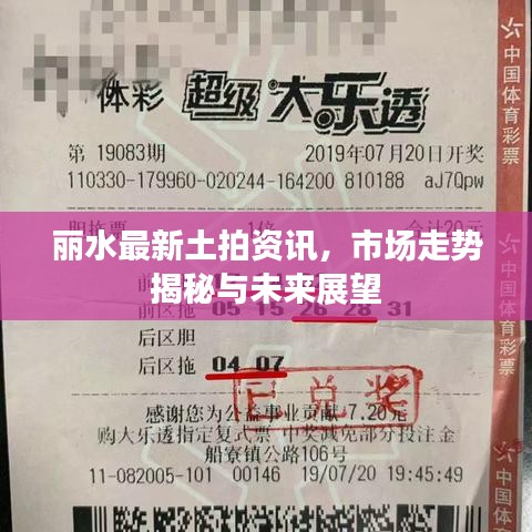 麗水最新土拍資訊，市場(chǎng)走勢(shì)揭秘與未來展望