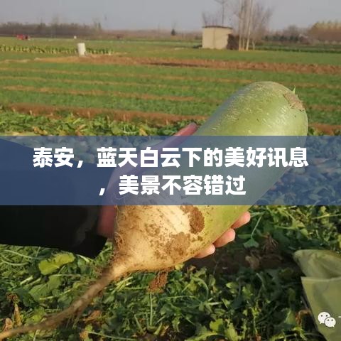 泰安，藍天白云下的美好訊息，美景不容錯過