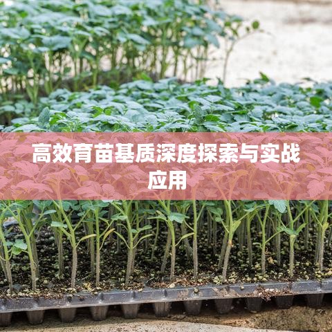 高效育苗基質(zhì)深度探索與實(shí)戰(zhàn)應(yīng)用
