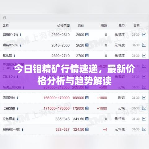今日鉬精礦行情速遞，最新價格分析與趨勢解讀
