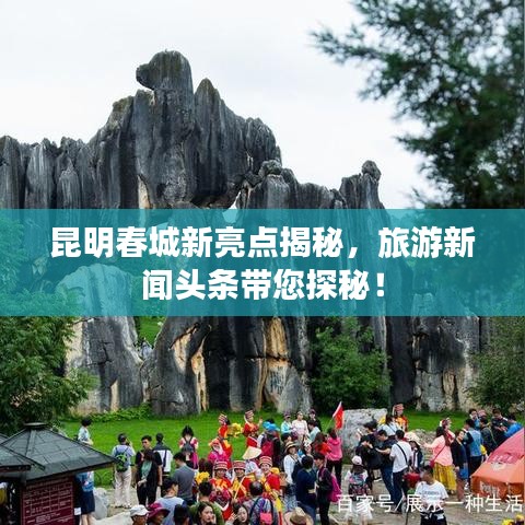 昆明春城新亮點(diǎn)揭秘，旅游新聞?lì)^條帶您探秘！