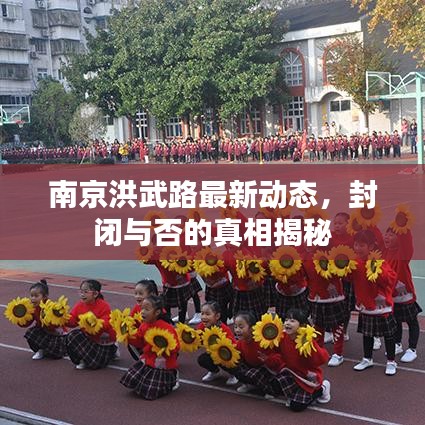 南京洪武路最新動態(tài)，封閉與否的真相揭秘