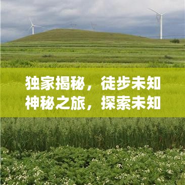 獨(dú)家揭秘，徒步未知神秘之旅，探索未知的極致體驗(yàn)