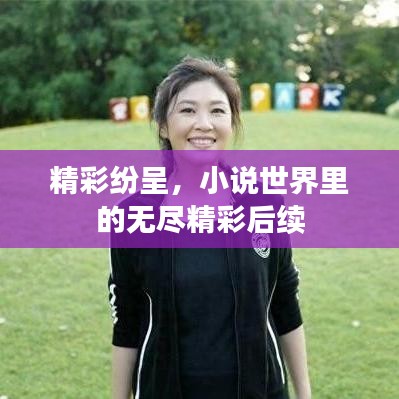 精彩紛呈，小說世界里的無盡精彩后續(xù)
