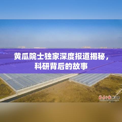 望其項(xiàng)背 第2頁