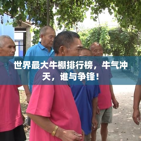 世界最大牛棚排行榜，牛氣沖天，誰與爭(zhēng)鋒！