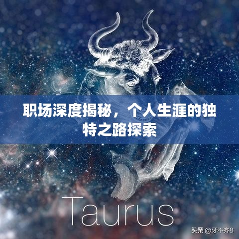 職場深度揭秘，個人生涯的獨特之路探索