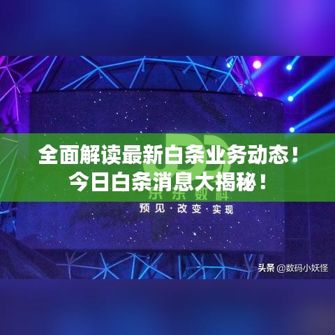 全面解讀最新白條業(yè)務(wù)動(dòng)態(tài)！今日白條消息大揭秘！