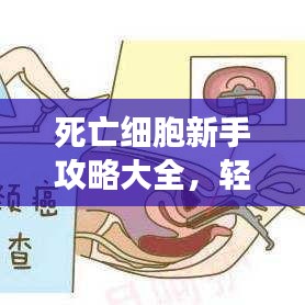 死亡細胞新手攻略大全，輕松上手游戲秘籍！