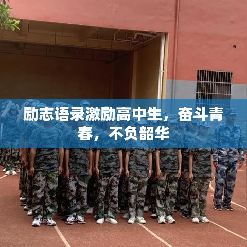 勵(lì)志語(yǔ)錄激勵(lì)高中生，奮斗青春，不負(fù)韶華