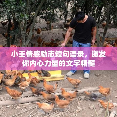 小王情感勵志短句語錄，激發(fā)你內(nèi)心力量的文字精髓