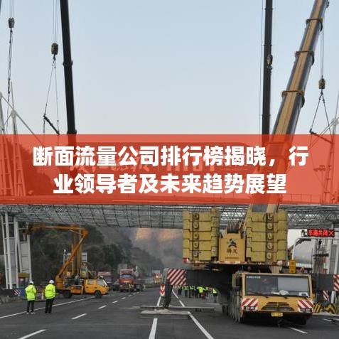 斷面流量公司排行榜揭曉，行業(yè)領(lǐng)導(dǎo)者及未來趨勢展望