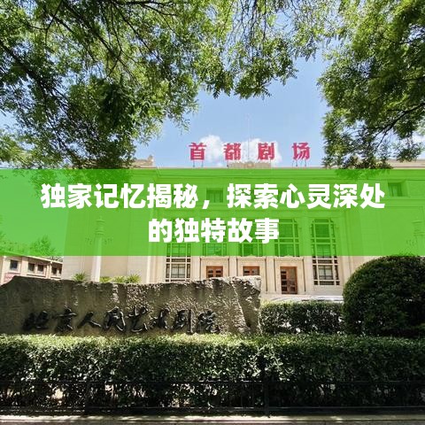 獨(dú)家記憶揭秘，探索心靈深處的獨(dú)特故事