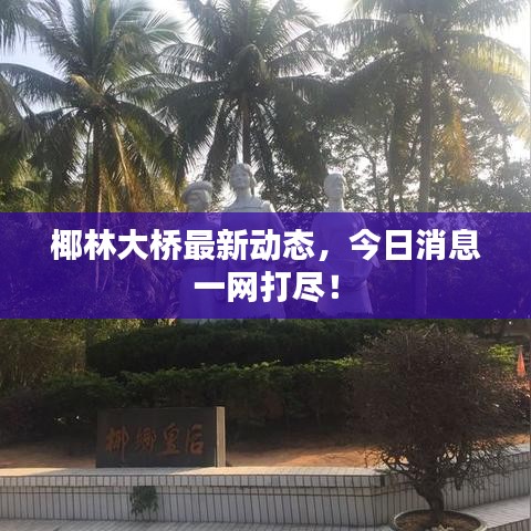 椰林大橋最新動態(tài)，今日消息一網(wǎng)打盡！