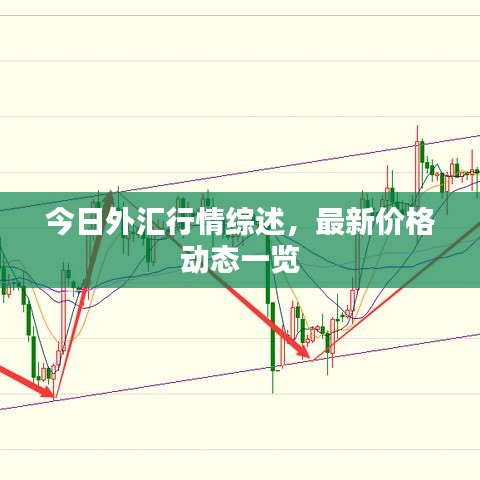 今日外匯行情綜述，最新價格動態(tài)一覽