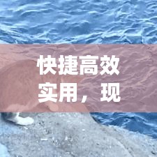快捷高效實用，現(xiàn)代生活的首選生活方式