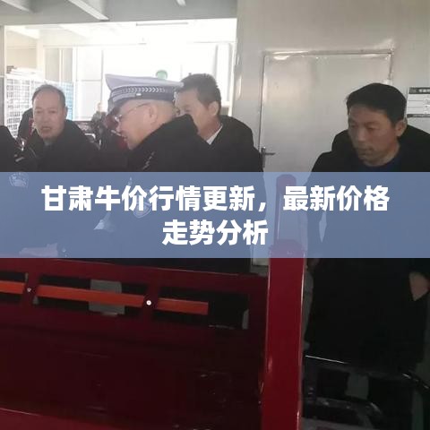 甘肅牛價行情更新，最新價格走勢分析