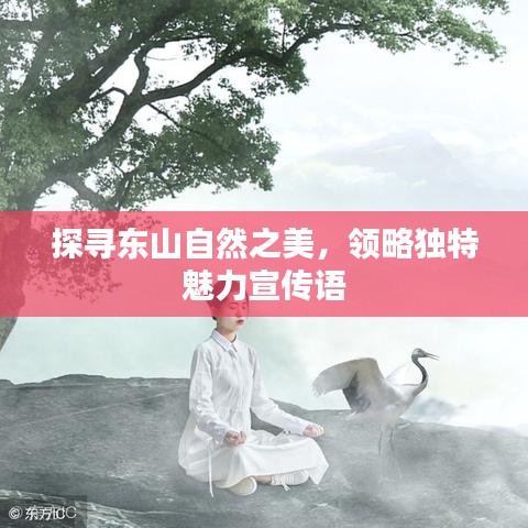 探尋東山自然之美，領(lǐng)略獨(dú)特魅力宣傳語