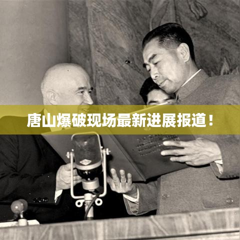 鳥驚魚駭 第2頁