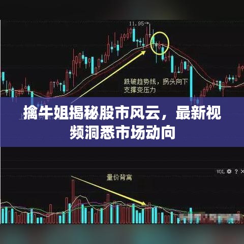 擒牛姐揭秘股市風云，最新視頻洞悉市場動向