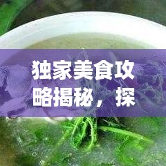 獨(dú)家美食攻略揭秘，探索味蕾盛宴的極致之旅