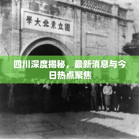 四川深度揭秘，最新消息與今日熱點聚焦
