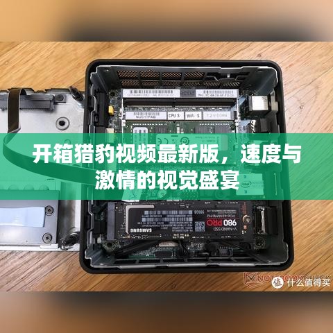 開箱獵豹視頻最新版，速度與激情的視覺盛宴