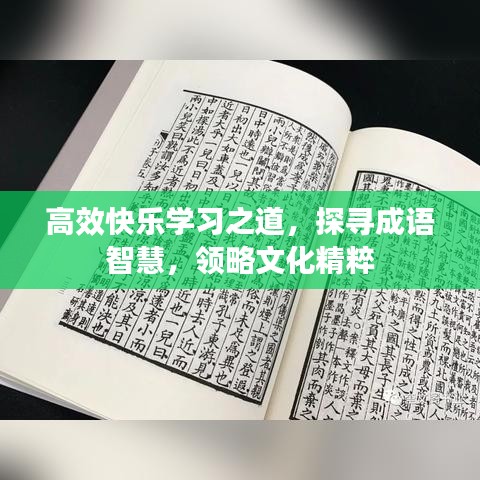 高效快樂學習之道，探尋成語智慧，領略文化精粹
