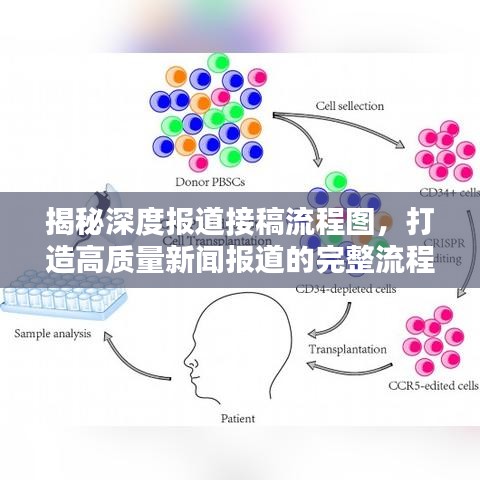 揭秘深度報道接稿流程圖，打造高質量新聞報道的完整流程揭秘