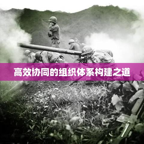 高效協(xié)同的組織體系構(gòu)建之道