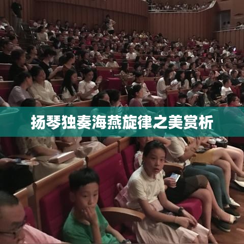 揚(yáng)琴獨(dú)奏海燕旋律之美賞析