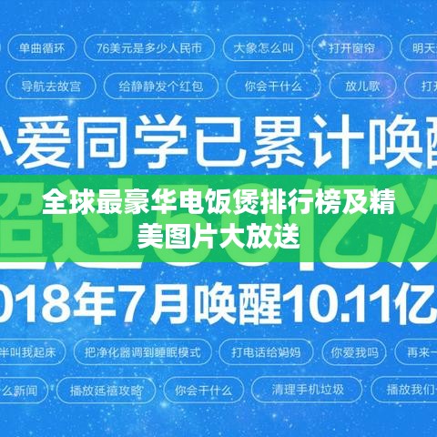 全球最豪華電飯煲排行榜及精美圖片大放送