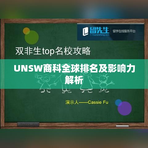 UNSW商科全球排名及影響力解析