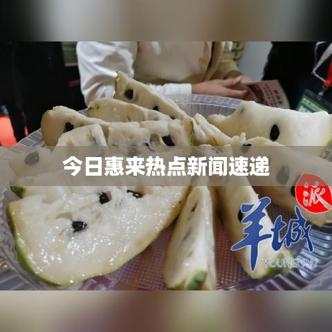 張弛不定 第2頁