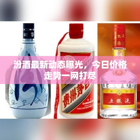 汾酒最新動態(tài)曝光，今日價格走勢一網(wǎng)打盡