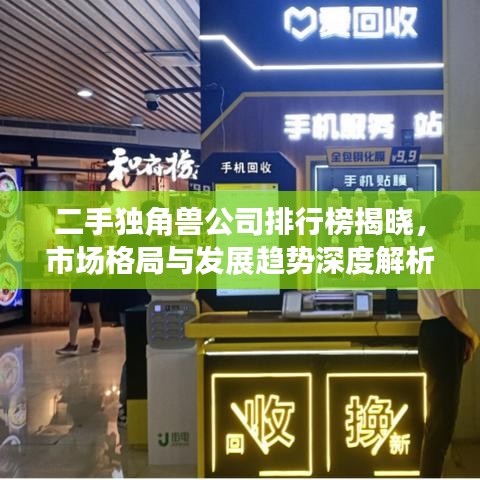 二手獨(dú)角獸公司排行榜揭曉，市場(chǎng)格局與發(fā)展趨勢(shì)深度解析